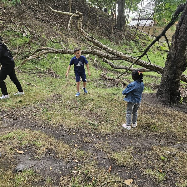 Stage enfants La Louvière